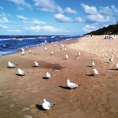 Beautiful In Διαμέρισμα Pobierowo