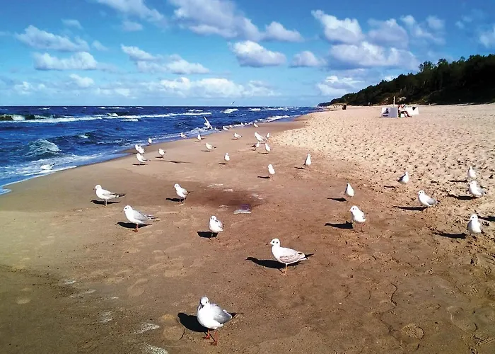 Beautiful In Lägenhet Pobierowo